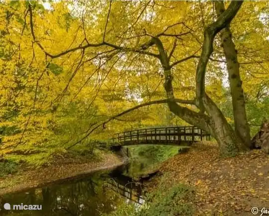Bekendelle -Natuurreservaat Woold -buurtschap Winterswijk-
